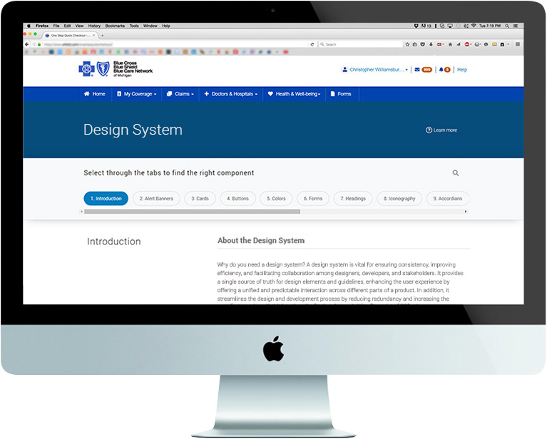 intro page of the design system
