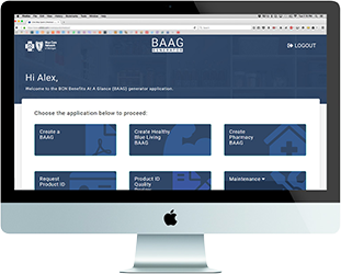 view of the BAAG application